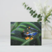 De rode Kikker van Ogen op Blad Briefkaart (Staand voorkant)