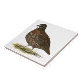 De Rode Kwartels van Tennessee Tegeltje (Zijkant)