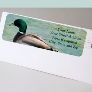 De rode Mallard Duck als Etiketten van het Adres v