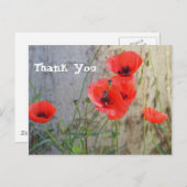 De rode Papavers van het Graan van het Gebied Briefkaart (Voorkant / Achterkant)