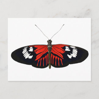 De Rode Postman Butterfly Briefkaart