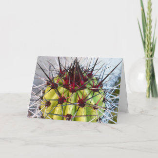 De rode Producten van Stekels Kaart