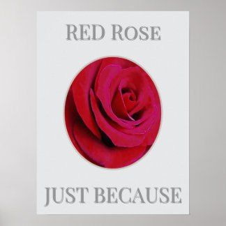 DE ROde Roos Poster