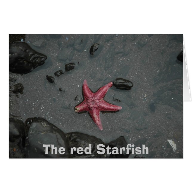 De rode Starfish (Voorkant Horizontaal)