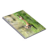 De rode Uitrusting van de Vos Notitieboek (Rechterzijde)