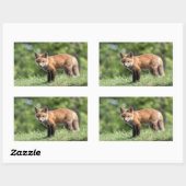 De rode Uitrusting van de Vos Rechthoekige Sticker (Vel)