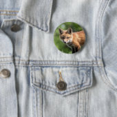 De rode Uitrusting van de Vos Ronde Button 5,7 Cm (In situ)