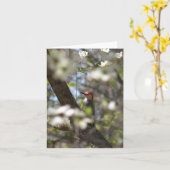 De rood-doen zwellen Kaart van de Nota van de (Gele Bloem)