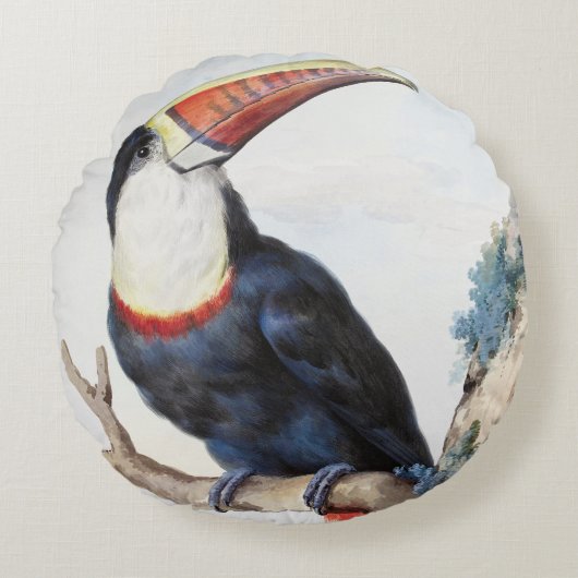 De roodbilled Toucan (1748) van Aert Schouman Rond Kussen (Voorkant)
