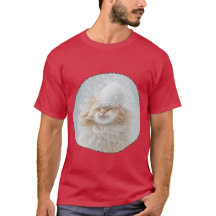 De roodkat heeft een zeer ontspannen uitstraling e