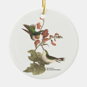 De roodkeelachtige of robijnrode kolibrie keramisch ornament