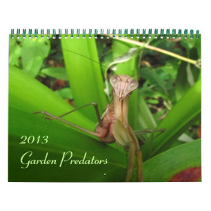 De Roofdieren 2013 van de tuin Kalender