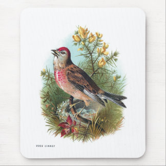 De Roos Linnet Muismat