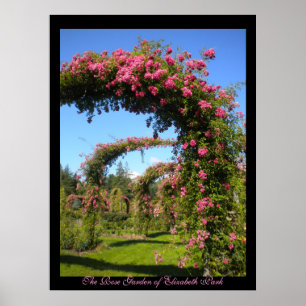 De Roos tuin van het Poster Elizabeth Park