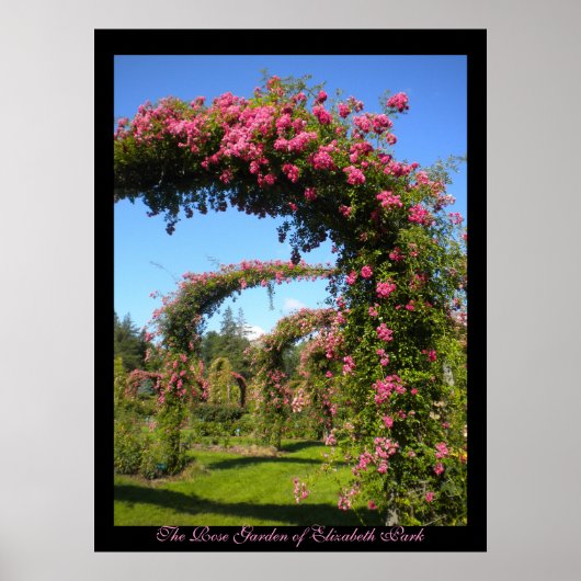 De Roos tuin van het Poster Elizabeth Park (Voorkant)