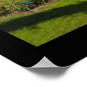 De Roos tuin van het Poster Elizabeth Park (Hoek)