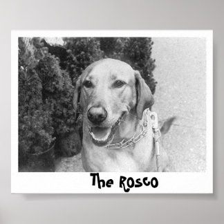 De Rosco Poster