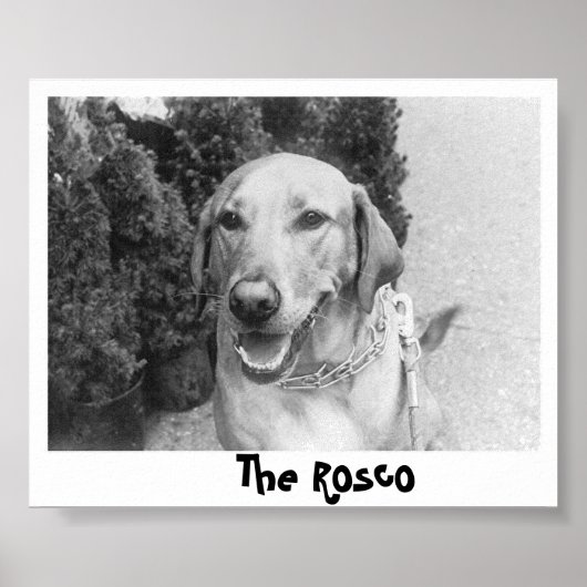 De Rosco Poster (Voorkant)