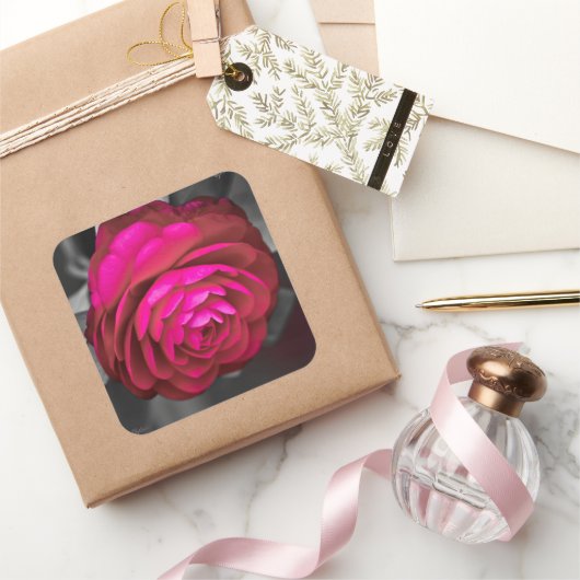 De Rosy Camellia Vierkante Sticker (Geschenken)
