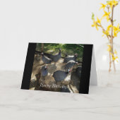 De Rots van Guinea, de Verjaardag van het Kaart (Gele Bloem)