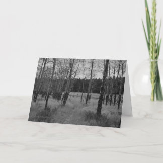 De rotsachtige Esp van de Berg, de kaart van de