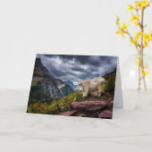 De rotsachtige Geit van de Berg Kaart (Gele Bloem)