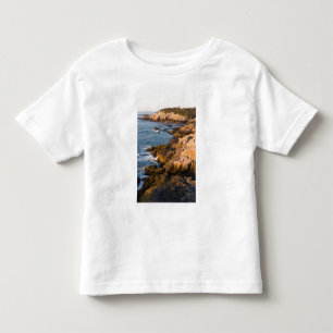 De rotsachtige kust van Isle au Haut in Kinder Shirts
