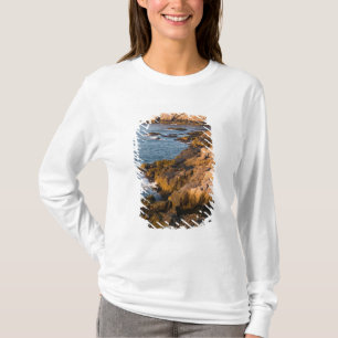 De rotsachtige kust van Isle au Haut in T-shirt