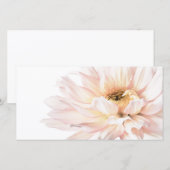 De roze Bloem van de Dahlia - Dahlia's (Voorkant / Achterkant)