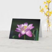 De roze Bloem van Lotus Kaart (Gele Bloem)