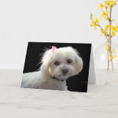 De roze boog van Muffy Kaart (Gele Bloem)