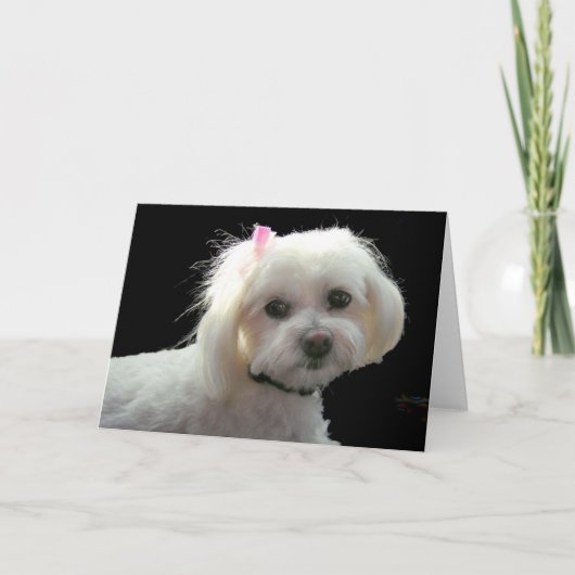 De roze boog van Muffy Kaart (Voorkant)