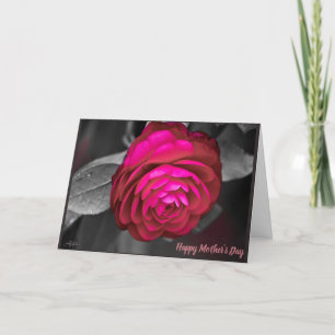 De Roze Camellia Gelukkige Moederdag Bedankkaart