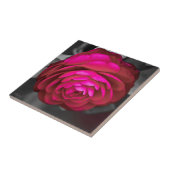 De Roze Camellia Tegeltje (Zijkant)
