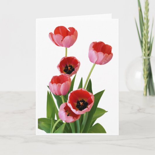 De roze Foto van het Boeket van de Tulp van de Kaart (Voorkant)
