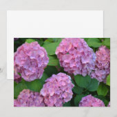 De roze Hortensia hydrangea struik Kaart (Voorkant / Achterkant)