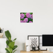De roze Hortensia hydrangea struik Poster (Thuiskantoor)