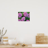 De roze Hortensia hydrangea struik Poster (Keuken)