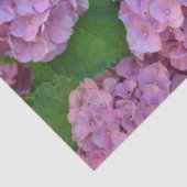 De roze Hortensia hydrangea struik Tissuepapier (Detail)