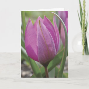 De roze kaart van het tulpenMoederdag