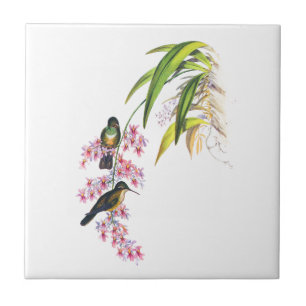 De roze orchideeën en kolibries van John Gould Tegeltje