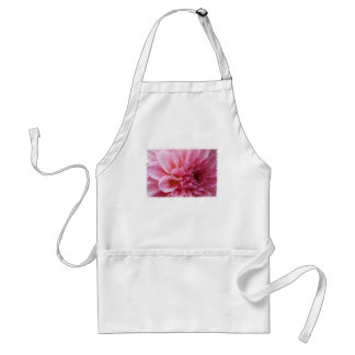 De roze Schort van de Chrysant