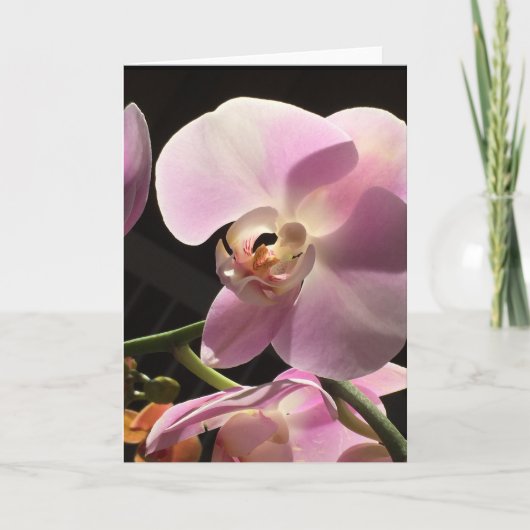 De roze Spatie van de Orchidee binnen Kaart (Voorkant)