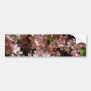 De roze Sticker van de Bumper van de Bloem van