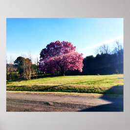 De roze tulpenboom poster