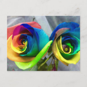 De rozenbriefkaart van de regenboog briefkaart