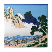De rug van de Fuji van de Minobu Tegeltje (Voorkant)