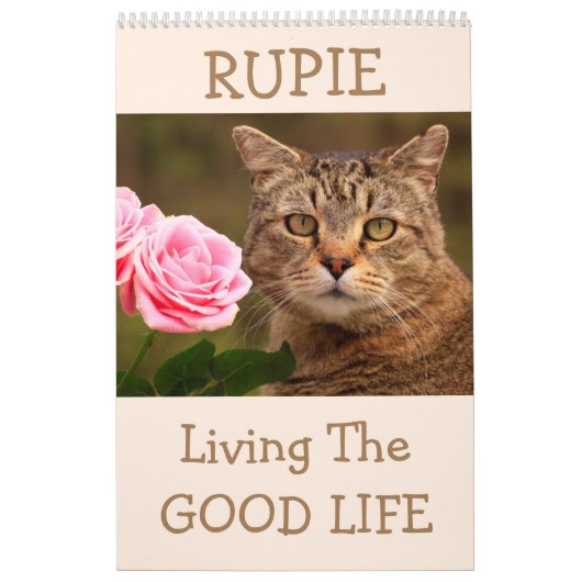De Rupie Shop Cute Cat Calendar Kalender (Hoes)