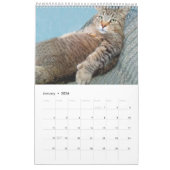 De Rupie Shop Cute Cat Calendar Kalender (Jan 2026)