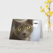 De Russische Blauwe Kaart van de Verjaardag van de (Gele Bloem)